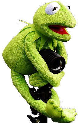 Kermit photographe 1