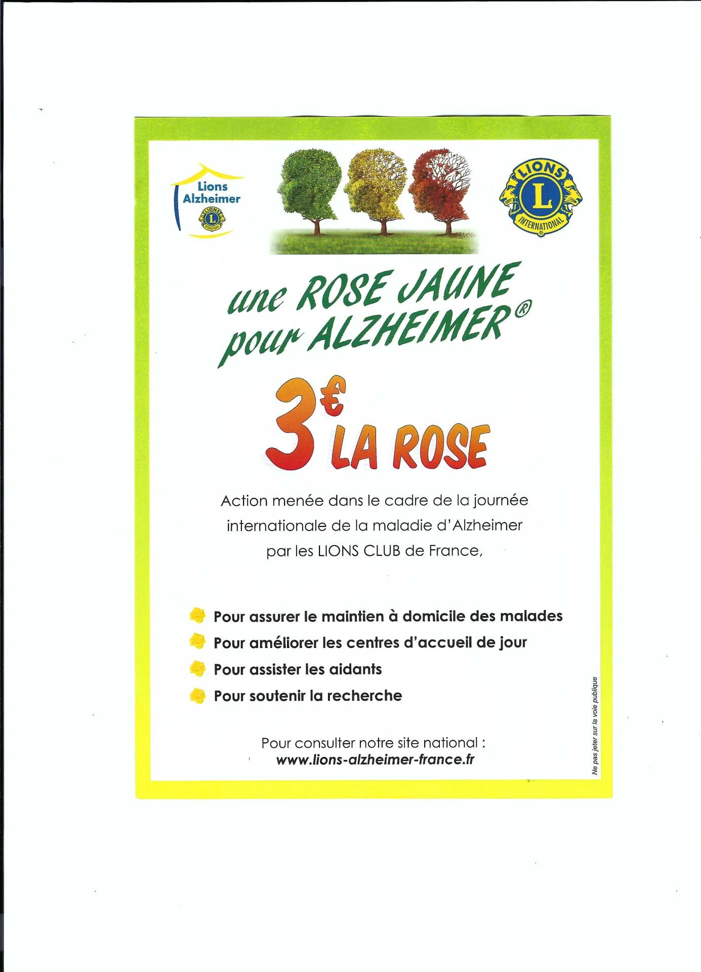 Roses jaunes